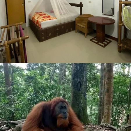 Brown Bamboo Guest House & Trekking Bukit Lawang Εξωτερικό φωτογραφία